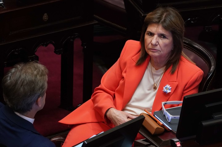 Patricia Bullrich. Foto: Juano Tesone.