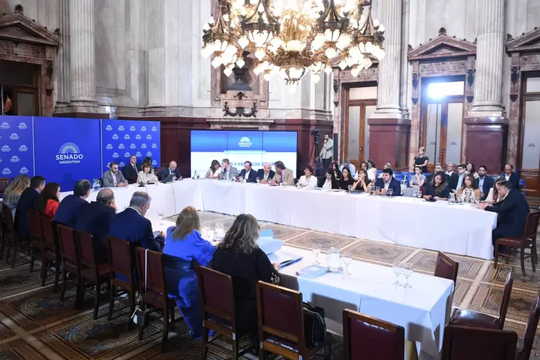 Plenario de comisiones del Senado: avanza la reforma laboral - Bullrich Atauche