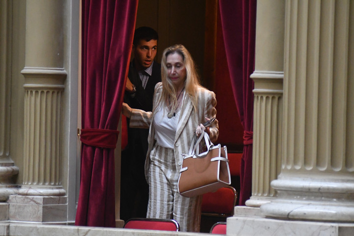 Karina Milei, en el palco del Congreso. Foto: Federico López Claro.