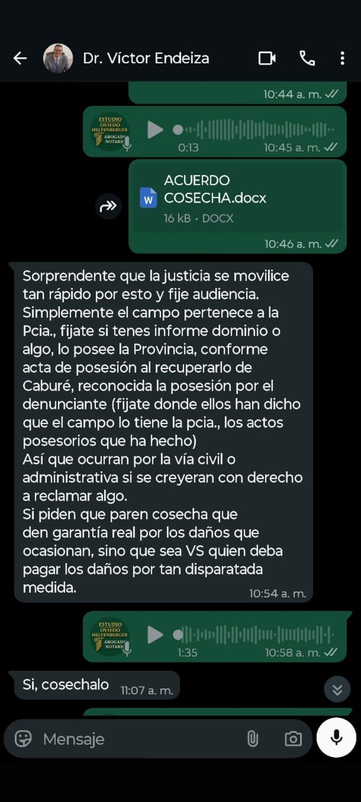 Los chats sobre la cosecha en el campo "El Caburé" de San Luis que generaron un escándalo político.