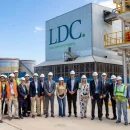 Caputo anunció una inversión millonaria que promete cambiar el negocio del girasol en Argentina 