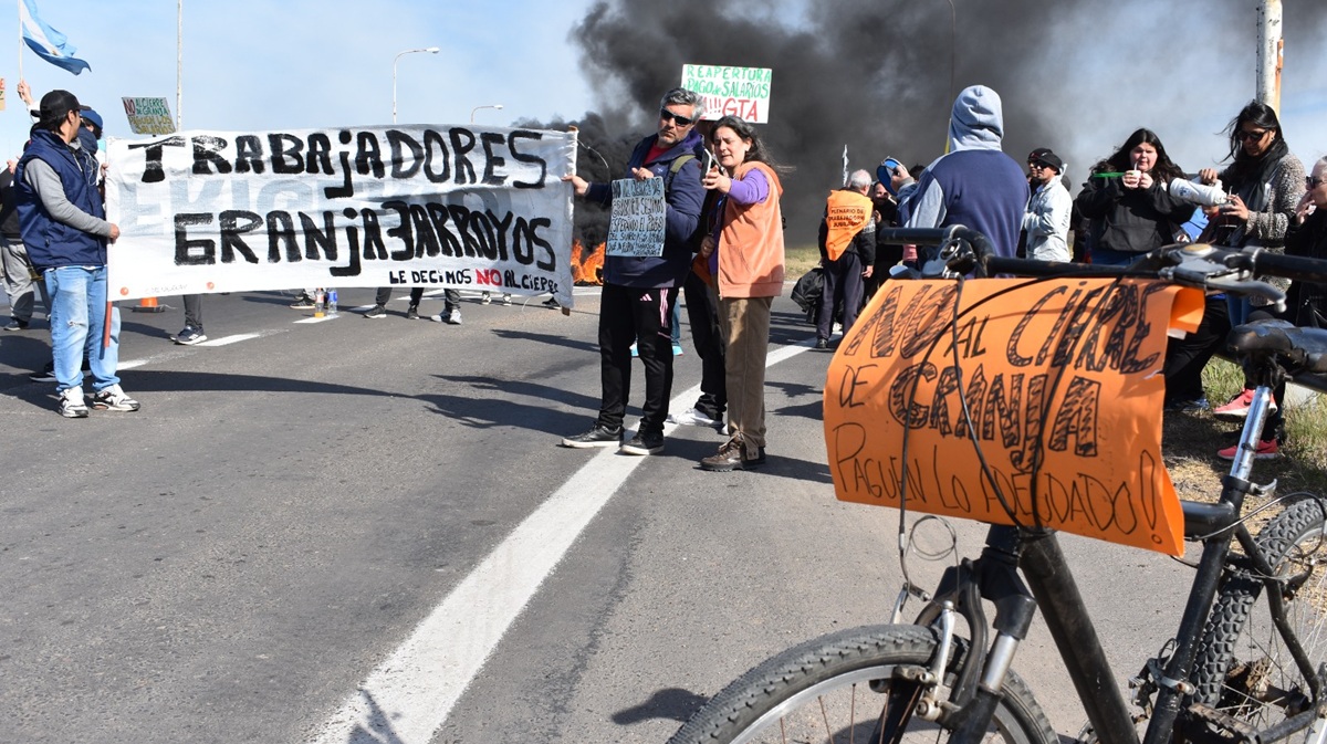 "No sabemos si pagarán las indemnizaciones": angustia por los más de 300 despidos en Granja Tres Arroyos