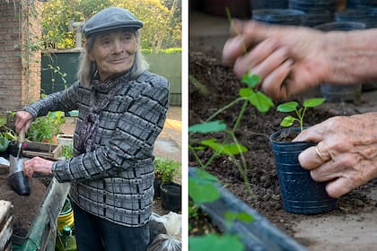 Chola siempre tuvo resabios de tierra en sus manos; hoy dice que extraña y muestra las palmas limpias, aunque reconoce que siempre se las ingenia para seguir en contacto con las plantas