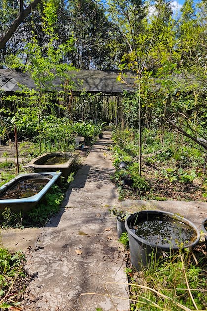 El amor por las plantas es herencia de su abuelo y su hermano. Desde los 5 años caminaba detrás de su abuelo español en su quinta. Más adelante, su hermano Martín —quien tenía criaderos masivos de plantas en Panamá y Estados Unidos— le contagió la fascinación por la producción botánica a gran escala y le regaló el terreno en Benavídez para fundar el vivero