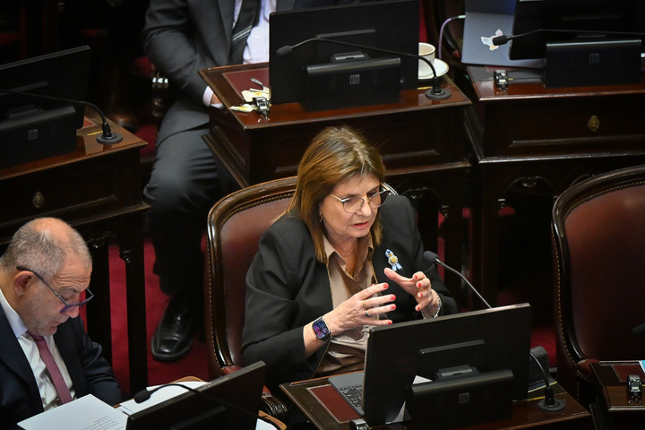 Patricia Bullrich, hoy senadora nacional, pieza clave del armado de Seguridad del Gobierno. Foto: Federico López Claro